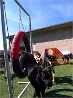 training pic 3 - sarah